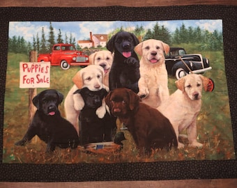 Handmade Dog Quilt (Wall Hanging/Throw/Blanket) - PawsMidwest