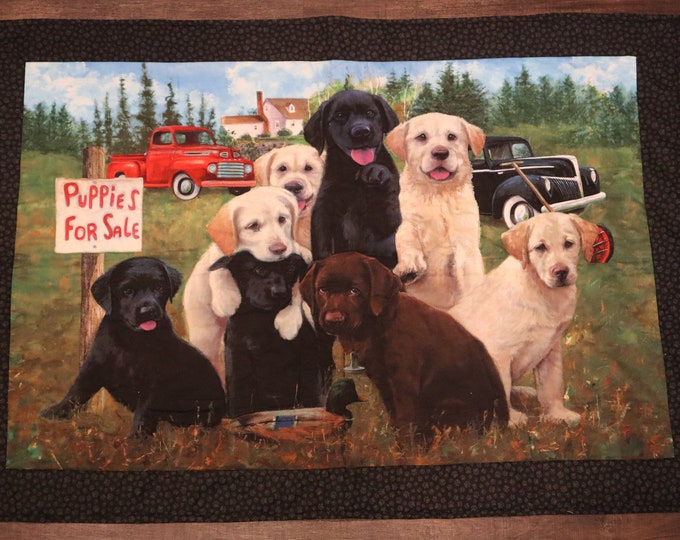 Handmade Dog Quilt (Wall Hanging/Throw/Blanket) - PawsMidwest