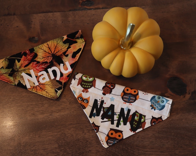 Fall & Thanksgiving Dog and Cat (Over the Collar) Personalized Bandana / Pet Scarf – PawsMidwest