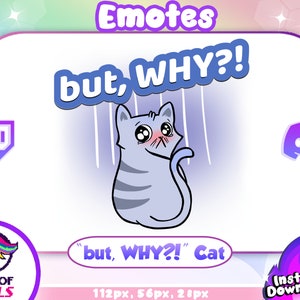 Ma PERCHÉ?! Emote MEME di un gatto divertente su Twitch e Discord / Punto Canale / Emoji, Carino, Unico, Kawaii, Streaming, Chat, Animale, Chibi, Adorabile Animale