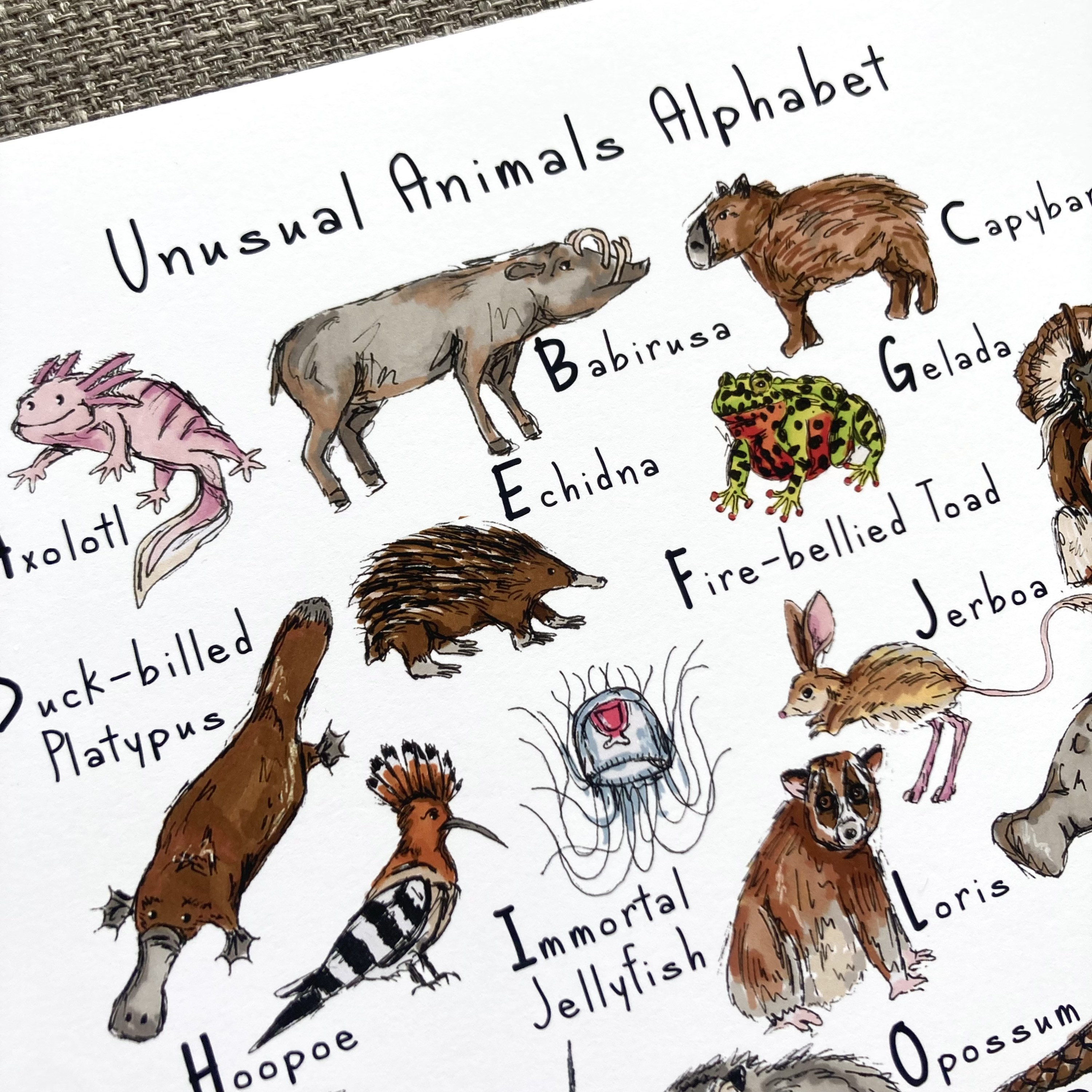 Unusual Animals Alphabet Print: Educational Nursery Art - Etsy, image size:3000x3000