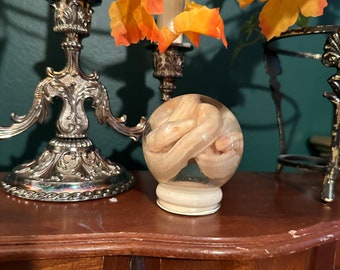 Albino Boa Constringor Nassprobe Kugel