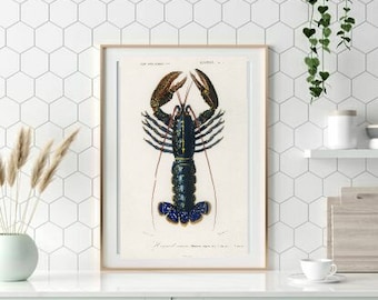 Lobster kitchen print