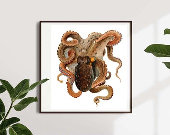Vintage octopus print