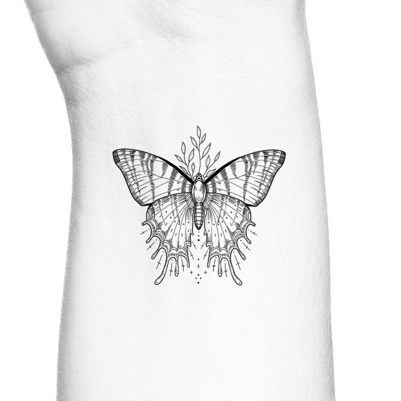 May include: A black and white line drawing of a butterfly with intricate details. The butterfly has a delicate, floral design on its wings.