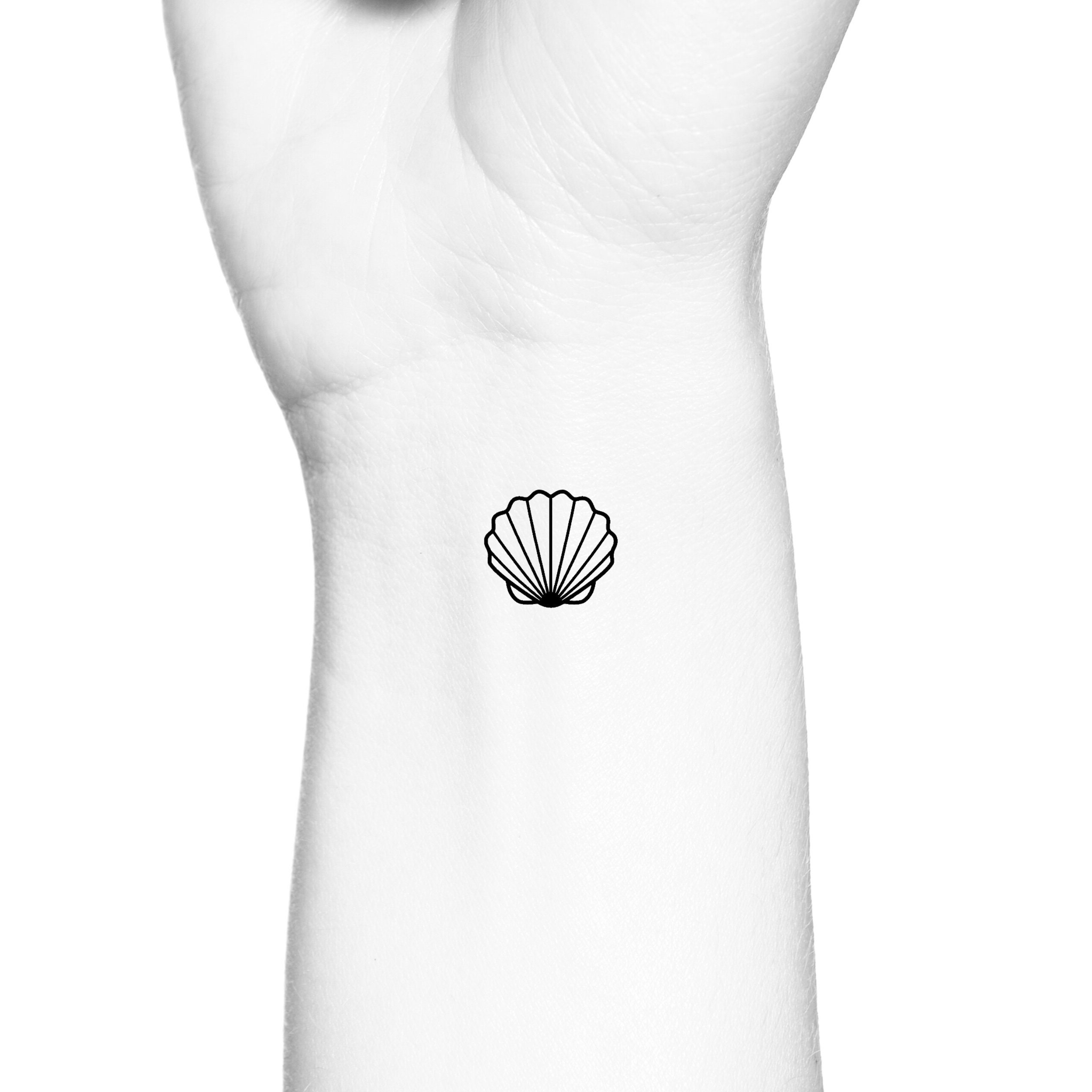 Buy Seashell Outline Temporary Tattoo  Beach Sea Conch Shell Fake Online  in India  Etsy