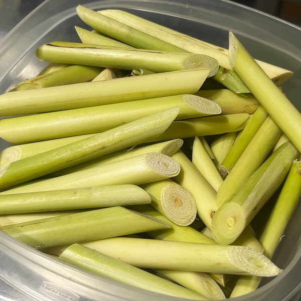 Sale!!Fresh Lemongrass Use for cooking, tea,