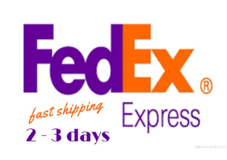 May include: The FedEx Express logo features the word "FedEx" in purple and orange. Below the logo are the words "fast shipping" and "Express" in orange and purple, respectively.