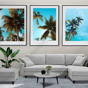 Palms Wall Art, Tropical Trees Set of 3 Posters, Palm Prints, Framed Wall Art, Palms Photo, Modern Home Decor