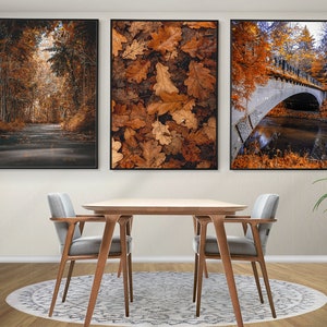 Conjunto de bosque de otoño de 3 carteles, impresiones de la naturaleza de otoño, arte mural enmarcado, foto de otoño, arte de pared del bosque dorado