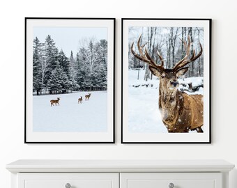 Deers in Winter Forest Set of 2 Posters, Winter Wall Art, Deer Prints, Framed Wall Art, Deers Photo