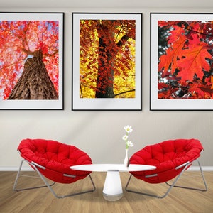Conjunto de 3 pôsteres de floresta de outono, impressões de árvores de outono, arte de parede emoldurada, foto de outono, arte de parede de floresta