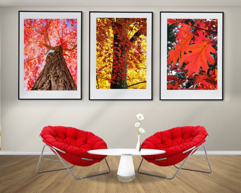 Autumn Forest Set of 3 Posters, Autumn Trees Prints, Framed Wall Art ...