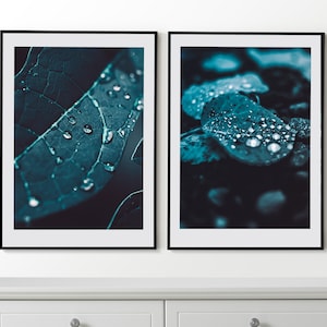 Dew Drops Set of 2 Posters, Water Drops on the Leaves Photo, Abstract Water Drops Prints