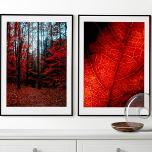 Arte mural de otoño, Bosque rojo de otoño Conjunto de 2 carteles, Grabados de otoño, Arte mural enmarcado, Foto de otoño