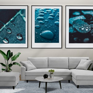 Dew Drops Set of 3 Posters, Water Drops on the Leaves Photo, Abstract Water Drops Prints