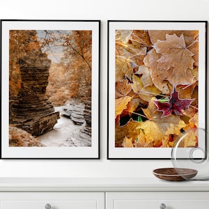 Herbst Wandkunst, Herbst Set von 2 Postern, Herbst Wald Drucke, gerahmte Wandkunst, Goldene Blätter, Herbstfoto