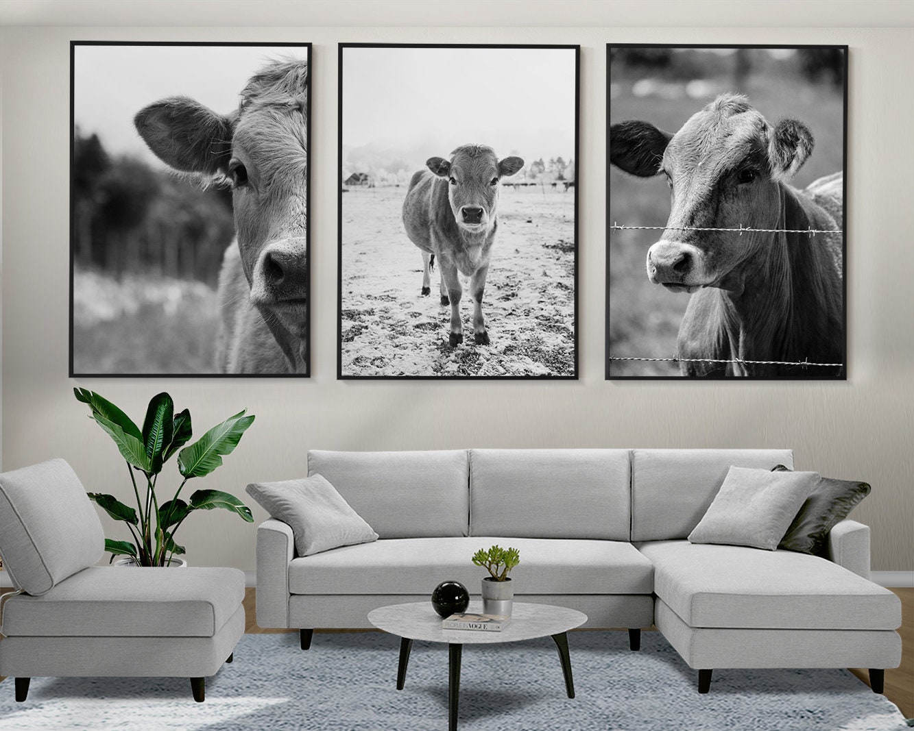 Cows Set of 3 Posters, Cows Photo, Cows Prints, Farm Animals Wall Art ...