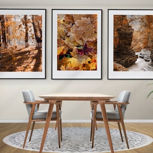 Herbst Natur Set von 3 Postern, Herbst Wald Drucke, gerahmte Wandkunst, Herbst Foto, GoldenEr Wald Wandkunst
