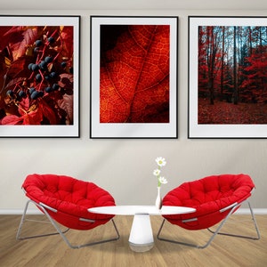 Autumn Wall Art, Red Autumn Forest Set di 3 poster, stampe autunnali, arte murale incorniciata, foto autunnale