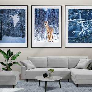 Winter Wall Art, Winter Forest Set of 3 Posters, Winter Prints, Framed Wall Art, Winter Photography