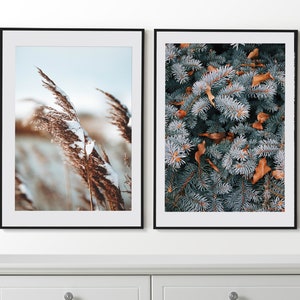 Winter Wall Art, Winter Set of 2 Posters, Winter Prints, Framed Wall Art, Winter Photography