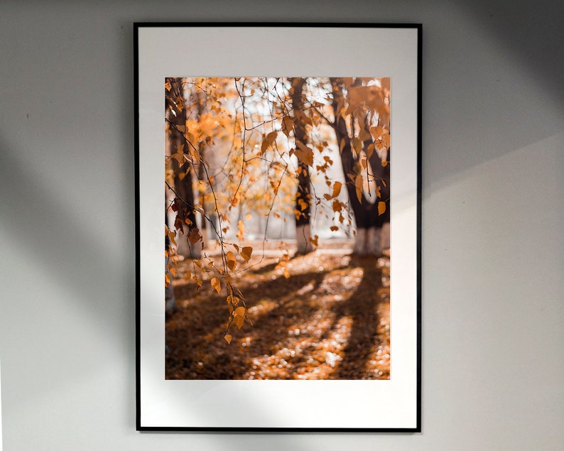 Autumn Nature Set of 3 Posters, Autumn Forest Prints, Framed Wall Art ...