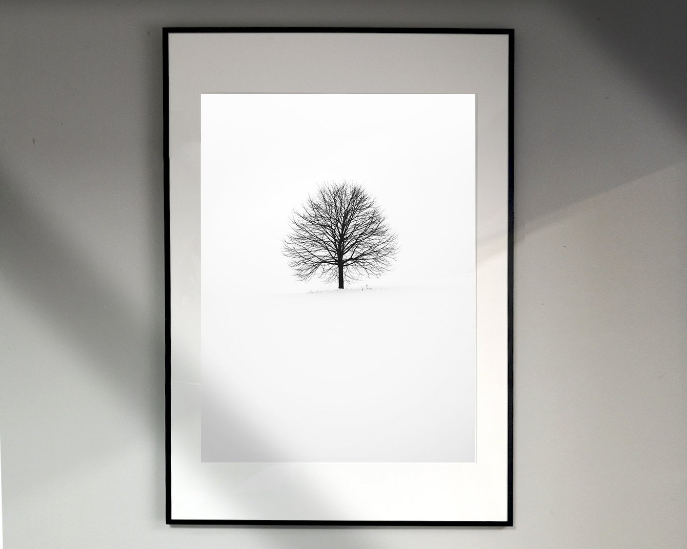 Poster Encadré Deja Poo - Définition Humoristique Minimaliste - Décoration Murale Cadeau Original - Neuf Sous Cadre