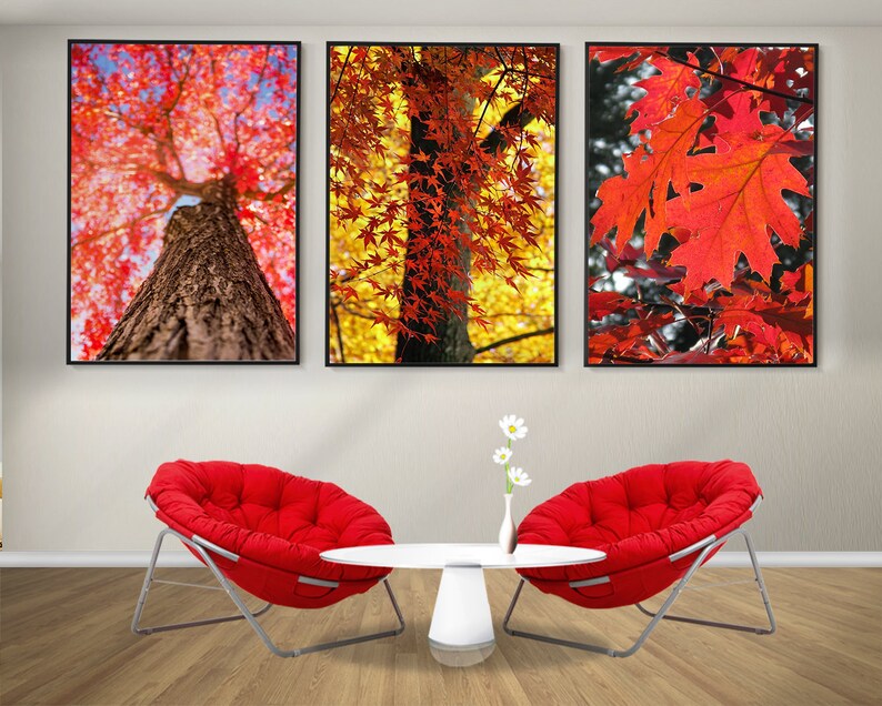 Autumn Forest Set of 3 Posters, Autumn Trees Prints, Framed Wall Art ...