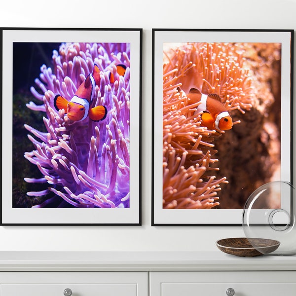 Clown Anemonefish Set of 2 Posters, Clown Fish Photo, Clown Fish Prints, Aquarium Fish Wall Art