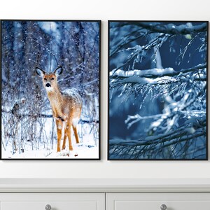 Winter Wall Art, Winter Forest Set of 2 Posters, Winter Prints, Framed Wall Art, Winter Photography