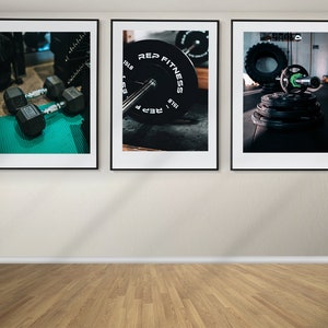 Dumbells Set of 3 Posters, Weightlifting Wall Art, Workout Prints, Framed Wall Art, Gym Wall Decor