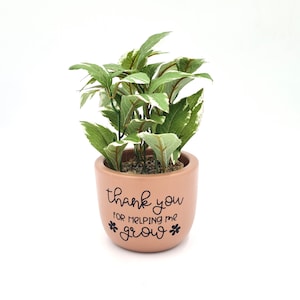 May include: A small terracotta pot with a green plant and the text "thank you for helping me grow" in black lettering.