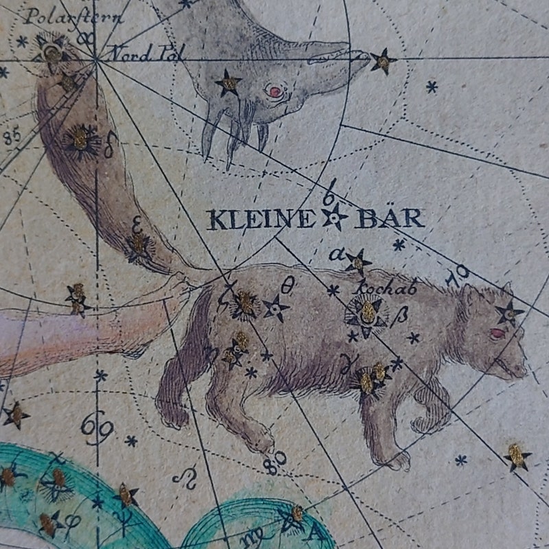 Antique Star Chart Etsy