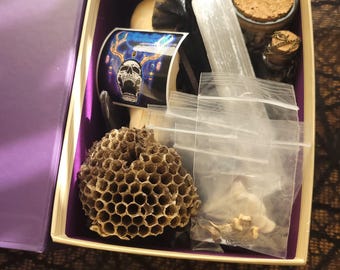 XL Oddity Mystery Box- One of one!