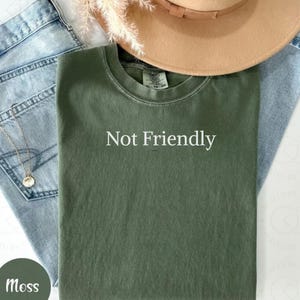 Not Friendly Shirt, Funny Humor Shirt, Adult Humor Shirt, Sarcasm Shirt, Funny Trendy Shirt for Women, Sarcastic Shirt