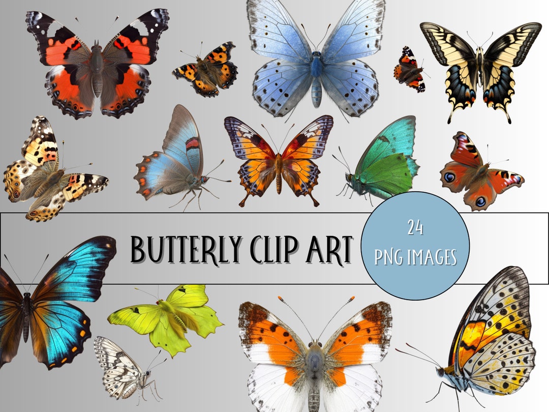 Beautiful Butterflies Clip Art Set, Realistic PNG Digital Download, Scrapbooking Printable Etsy
