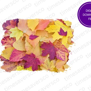 May include: A digital download file of a graphic featuring a collection of autumn leaves in shades of yellow, orange, red, and pink.