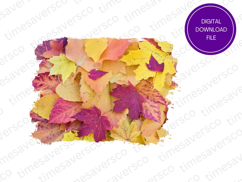 May include: A digital download file of a graphic featuring a collection of autumn leaves in shades of yellow, orange, red, and pink.