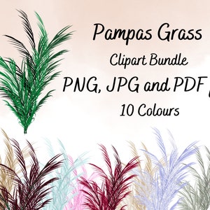 Paquete PNG de hierba de Pampas, clipart de 10 colores de PNG, flor seca transparente png, Png de Boho Pampas PNG para elementos de sublimación, descarga digital