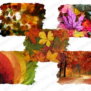 May include: A collage of autumn leaves in various shades of red, orange, yellow, and green. The leaves are arranged in a grid pattern, with each square showing a different view of the leaves.