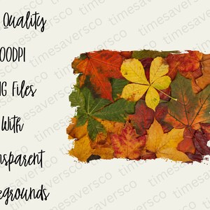 May include: A collection of autumn leaves in various shades of red, orange, yellow, and green. The leaves are arranged in a random pattern and are partially covered by a white paint stroke.