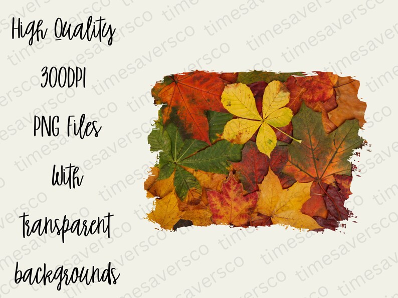 May include: A collection of autumn leaves in various shades of red, orange, yellow, and green. The leaves are arranged in a random pattern and are partially covered by a white paint stroke.