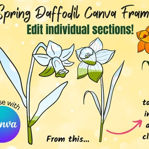 Spring Canva Frame Template, Daffodil Canva frame, Fully editable flower png, drag and drop, Create your own Spring PNG, Commercial use