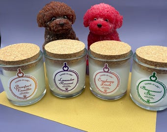 Pawfect Vanilla - Pet Odor Neutralizing Candle