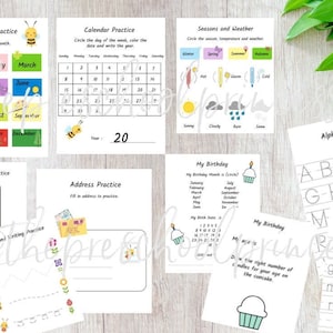 BUSY BEE Toddler Preschool Pre K Dry Erase Busy Book Homeschool learning