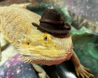 Flock Cowboy Hat - 2” Brown