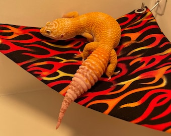 Hamaca para reptiles (También para usar con mascotas pequeñas) (Incluye ventosas)