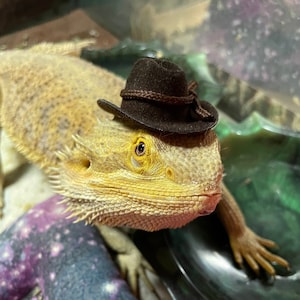 Sombrero de vaquero aterciopelado de 2 pulgadas, marrón o negro