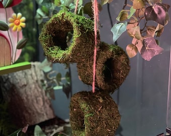 Hole Lotta Hoopla - Moss Covered Reptile Accessory